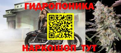 дурь Северобайкальск