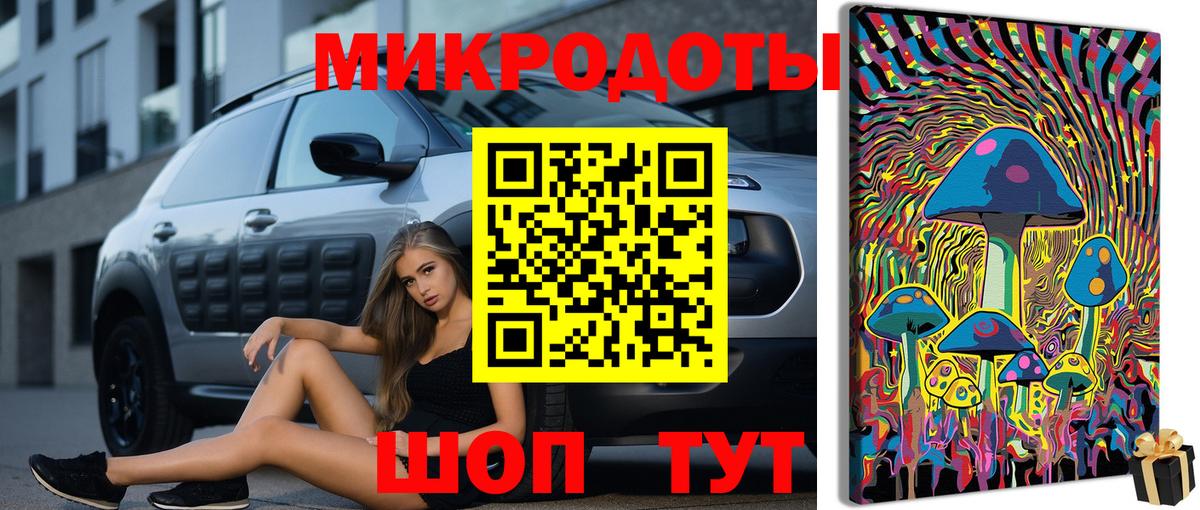 Галлюциногенные грибы Psilocybe Сланцы